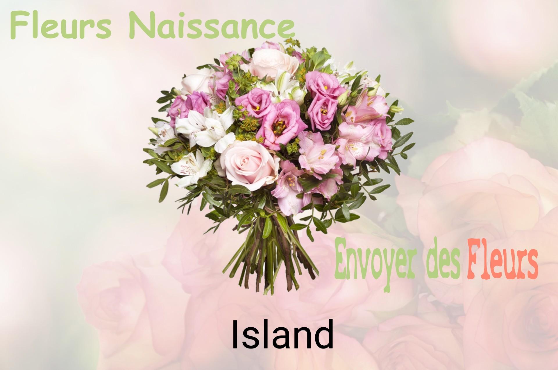 Bouquet de fleurs de naissance livré à Island