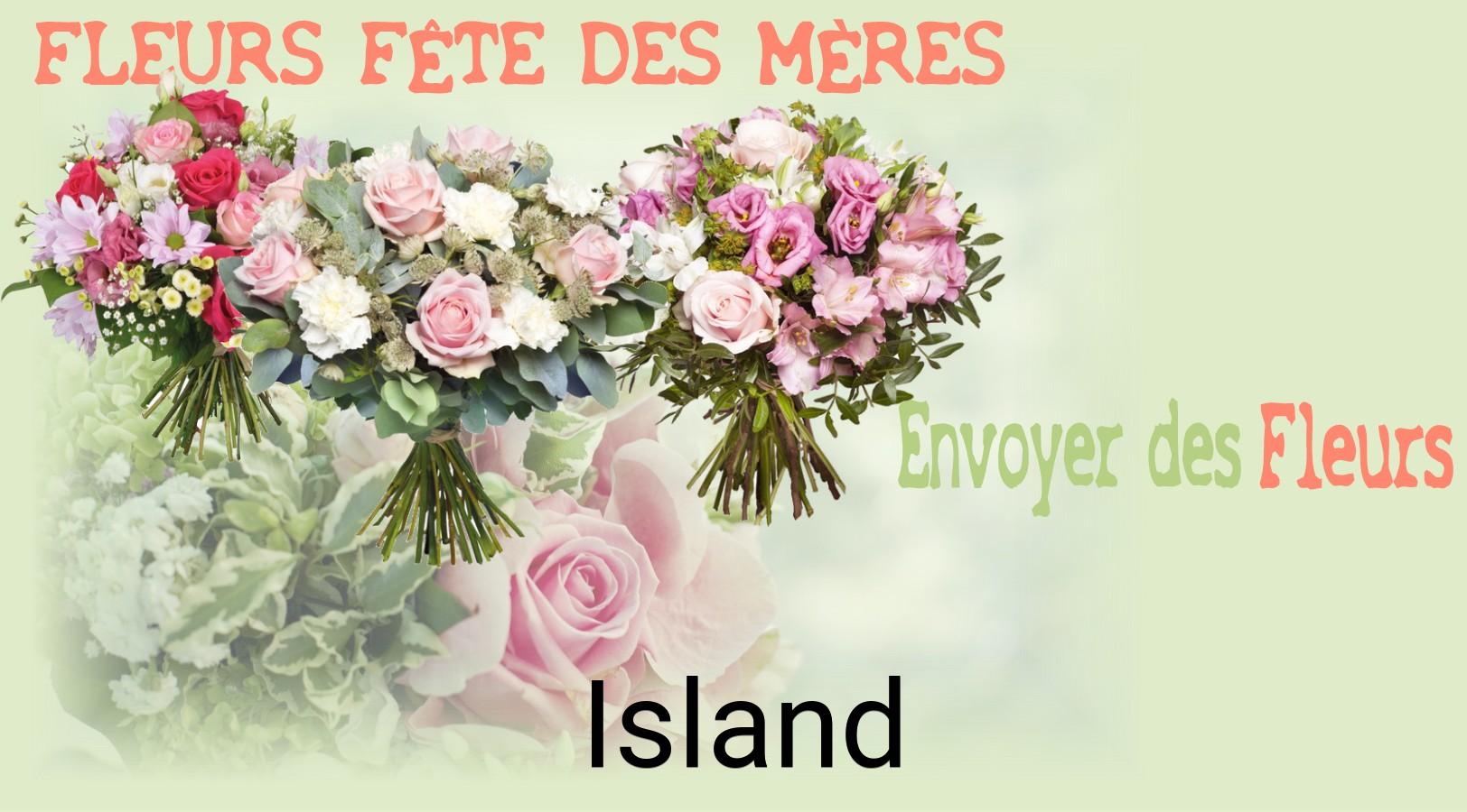Bouquet de Fête des Mères livré à Island